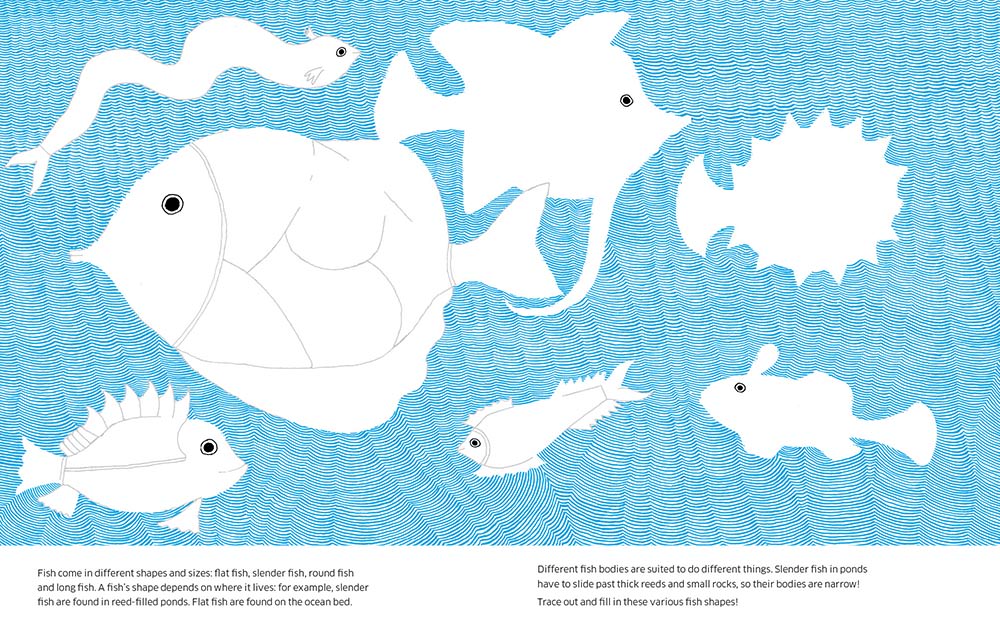 8 Ways to Draw Fish - Tara Books