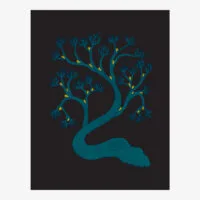 The Glowing Tree - Tara Books
