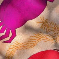 Waterlife - Tara Books