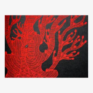 The Night Life of Trees - Tara Books