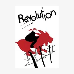 Revolution