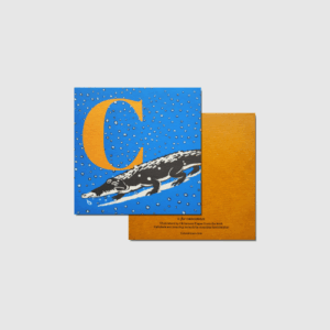 C for Crocodile - Image 2