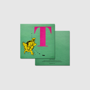 T for Turtle - Image 2