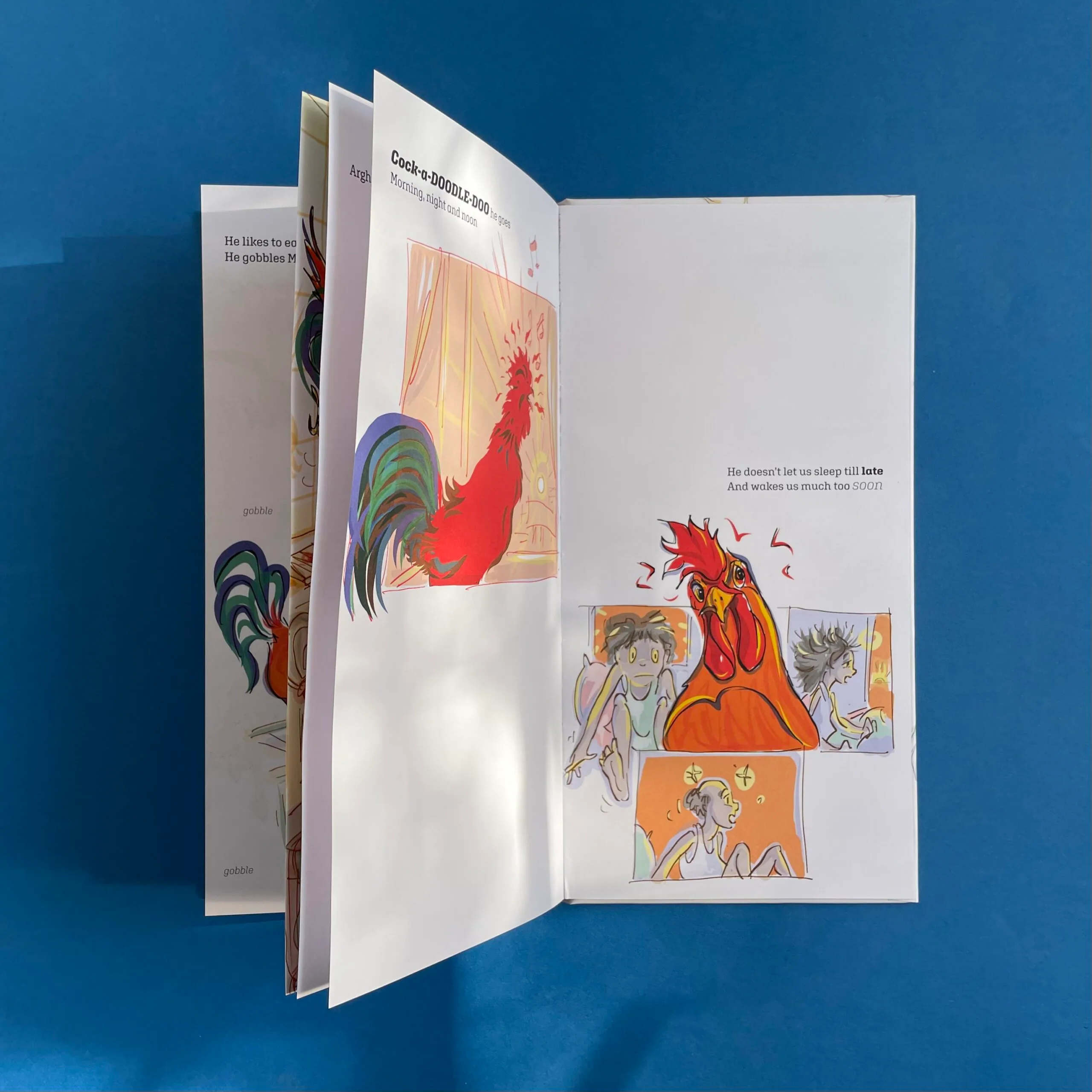 A Rooster for a Pet? - Image 4