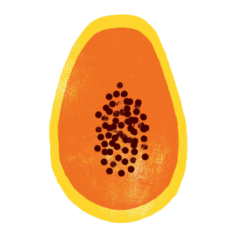 Papaya
